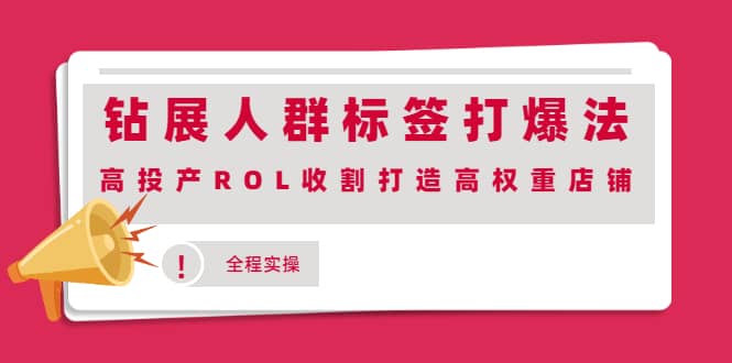 钻展人群标签打爆法，高投产ROL收割打造高权重店铺(全程实操)风钥吧-网创项目资源站-副业项目-创业项目-搞钱项目风钥吧