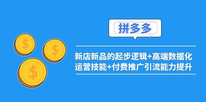 2022拼多多：新店新品的起步逻辑+高端数据化运营技能+付费推广引流能力提升风钥吧-网创项目资源站-副业项目-创业项目-搞钱项目风钥吧