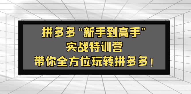 拼多多“新手到高手”实战特训营：带你全方位玩转拼多多风钥吧-网创项目资源站-副业项目-创业项目-搞钱项目风钥吧