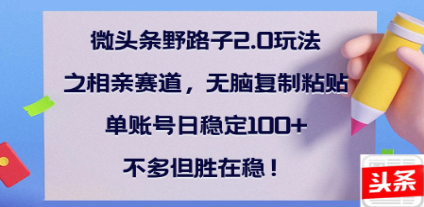 全网首发微头条野路子2.0玩法之相亲赛道，无脑搬砖复制粘贴，单账号日稳定300+保姆级教程风钥吧-网创项目资源站-副业项目-创业项目-搞钱项目风钥吧