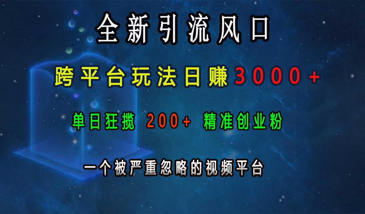 全新引流风口，跨平台玩法日赚3000+，单日狂揽200+精准创业粉，一个被严重忽略的视频平台风钥吧-网创项目资源站-副业项目-创业项目-搞钱项目风钥吧