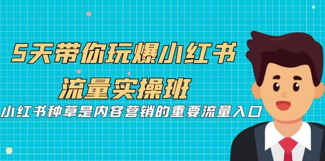 5天带你玩爆小红书流量实操班，小红书种草是内容营销的重要流量入口风钥吧-网创项目资源站-副业项目-创业项目-搞钱项目风钥吧