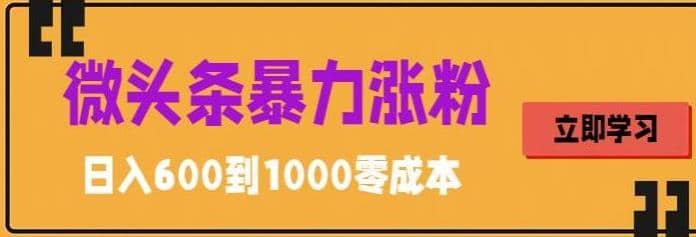 微头条暴力涨粉技巧搬运文案就能涨几万粉丝，简单0成本，日赚600风钥吧-网创项目资源站-副业项目-创业项目-搞钱项目风钥吧