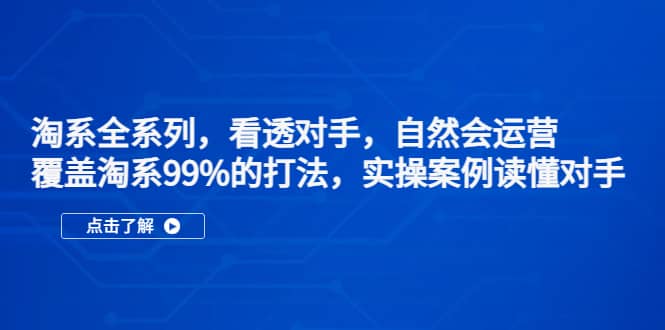 淘系全系列，看透对手，自然会运营，覆盖淘系99%·打法，实操案例读懂对手风钥吧-网创项目资源站-副业项目-创业项目-搞钱项目风钥吧