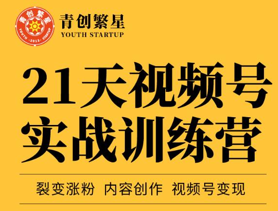 张萌21天视频号实战训练营，裂变涨粉、内容创作、视频号变现 价值298元风钥吧-网创项目资源站-副业项目-创业项目-搞钱项目风钥吧