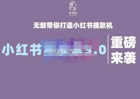 谢无敌·小红书实战营3.0，无敌带你打造小红书提款机 价值7999元风钥吧-网创项目资源站-副业项目-创业项目-搞钱项目风钥吧