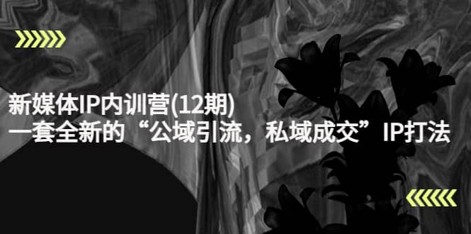 新媒体IP内训营(12期)，一套全新的“公域引流，私域成交”IP打法，直接带走风钥吧-网创项目资源站-副业项目-创业项目-搞钱项目风钥吧