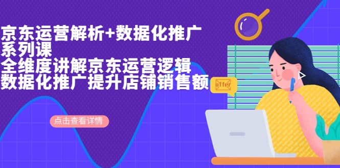 京东运营解析与数据化推广系列课，全维度讲解京东运营逻辑+数据化推广提升店铺销售额风钥吧-网创项目资源站-副业项目-创业项目-搞钱项目风钥吧