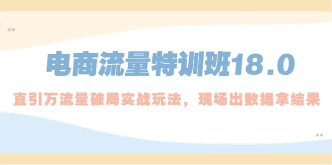 电商流量特训班18.0，直引万流量破局实操玩法，现场出数据拿结果风钥吧-网创项目资源站-副业项目-创业项目-搞钱项目风钥吧