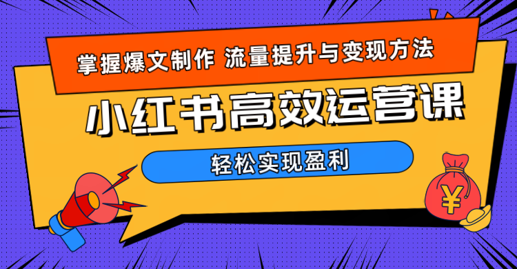 价值980小红书运营操作指南风钥吧-网创项目资源站-副业项目-创业项目-搞钱项目风钥吧