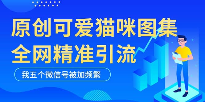 黑科技纯原创可爱猫咪图片，全网精准引流，实操5个VX号被加频繁风钥吧-网创项目资源站-副业项目-创业项目-搞钱项目风钥吧