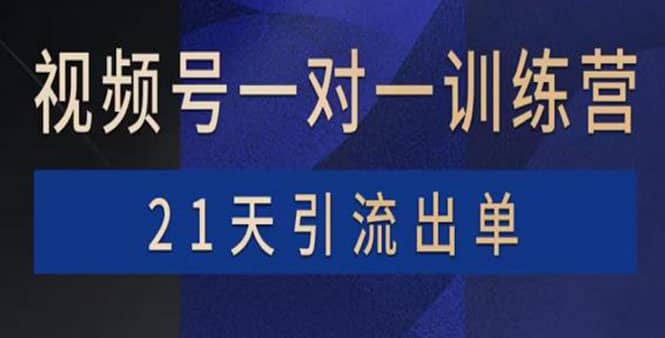 视频号训练营：带货，涨粉，直播，游戏，四大变现新方向，21天引流出单风钥吧-网创项目资源站-副业项目-创业项目-搞钱项目风钥吧