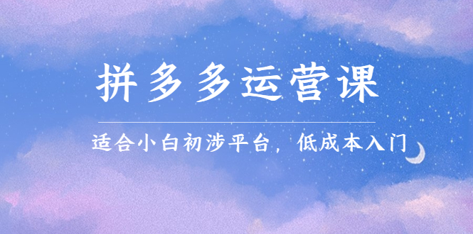 拼多多运营课，适合小白初涉平台，低成本入门风钥吧-网创项目资源站-副业项目-创业项目-搞钱项目风钥吧