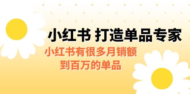某公众号付费文章《小红书 打造单品专家》小红书有很多月销额到百万的单品风钥吧-网创项目资源站-副业项目-创业项目-搞钱项目风钥吧