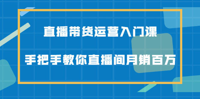 直播带货运营入门课，手把手教你直播间月销百万风钥吧-网创项目资源站-副业项目-创业项目-搞钱项目风钥吧