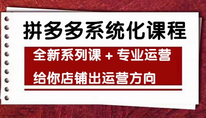 车神陪跑，拼多多系统化课程，全新系列课+专业运营给你店铺出运营方向风钥吧-网创项目资源站-副业项目-创业项目-搞钱项目风钥吧