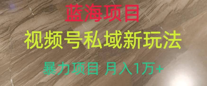 蓝海项目，视频号私域新玩法，暴力项目月入1万+【揭秘】风钥吧-网创项目资源站-副业项目-创业项目-搞钱项目风钥吧
