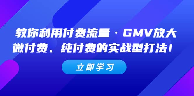教你利用付费流量·GMV放大，微付费、纯付费的实战型打法风钥吧-网创项目资源站-副业项目-创业项目-搞钱项目风钥吧