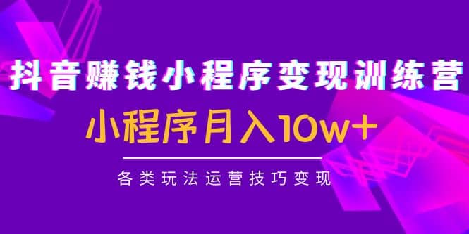 抖音小程序变现训练营：小程序各类玩法运营技巧变现风钥吧-网创项目资源站-副业项目-创业项目-搞钱项目风钥吧