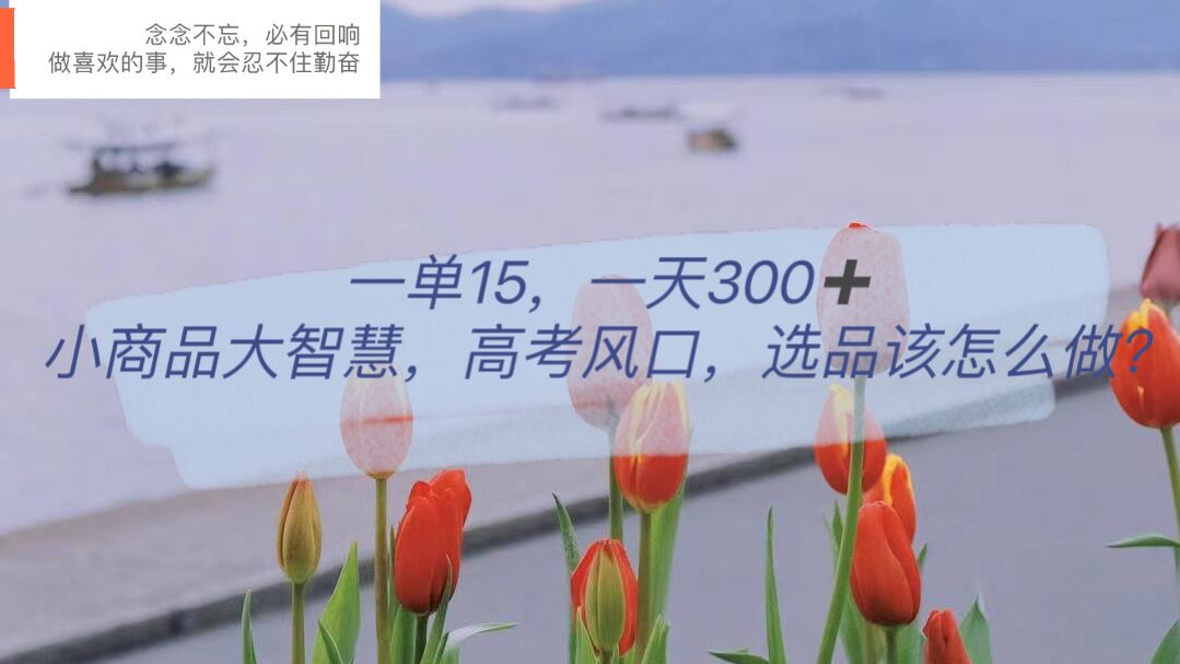 一单15，一天300+，小商品大智慧，高考风口，选品该怎么布局风钥吧-网创项目资源站-副业项目-创业项目-搞钱项目风钥吧