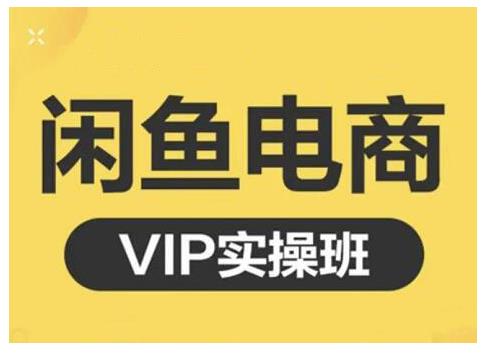 闲鱼电商零基础入门到进阶VIP实战课程，帮助你掌握闲鱼电商所需的各项技能风钥吧-网创项目资源站-副业项目-创业项目-搞钱项目风钥吧