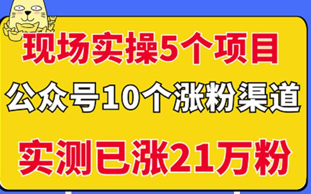现场实操5个公众号项目，10个涨粉渠道，实测已涨21万粉！风钥吧-网创项目资源站-副业项目-创业项目-搞钱项目风钥吧