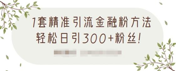 1套精准引流金融粉方法，轻松日引300+粉丝【视频课程】风钥吧-网创项目资源站-副业项目-创业项目-搞钱项目风钥吧