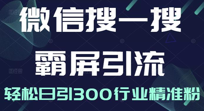 微信搜一搜霸屏引流课，打造被动精准引流系统，轻松日引300行业精准粉【无水印】风钥吧-网创项目资源站-副业项目-创业项目-搞钱项目风钥吧