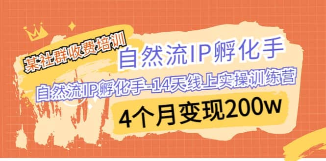 某社群收费培训：自然流IP 孵化手-14天线上实操训练营 4个月变现200w风钥吧-网创项目资源站-副业项目-创业项目-搞钱项目风钥吧