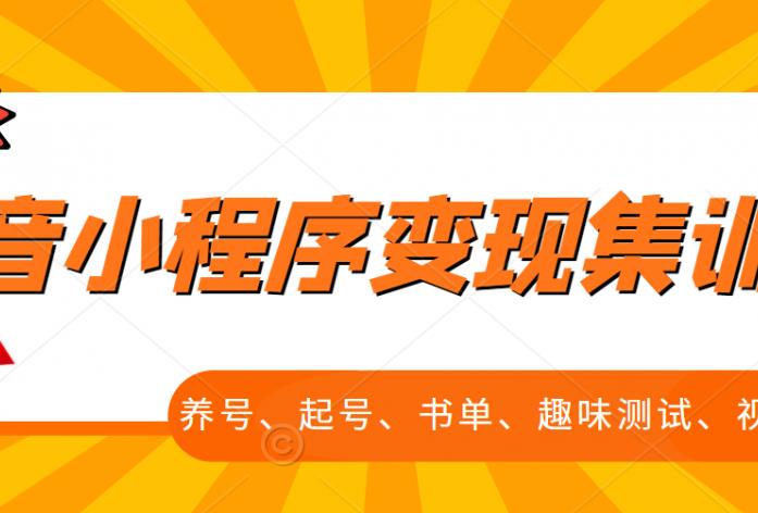 抖音小程序变现集训课，养号、起号、书单、趣味测试、视频剪辑，全套流程风钥吧-网创项目资源站-副业项目-创业项目-搞钱项目风钥吧
