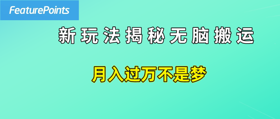 简单操作，每天50美元收入，搬运就是赚钱的秘诀！风钥吧-网创项目资源站-副业项目-创业项目-搞钱项目风钥吧