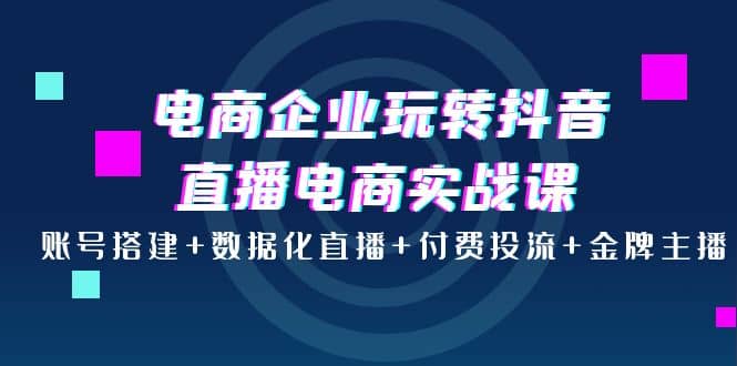 电商企业玩转抖音直播电商实战课：账号搭建+数据化直播+付费投流+金牌主播风钥吧-网创项目资源站-副业项目-创业项目-搞钱项目风钥吧