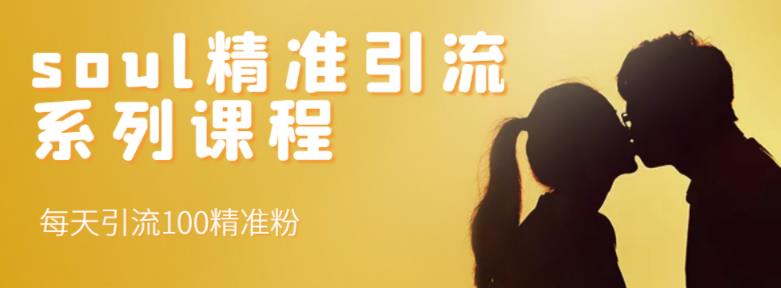soul精准引流系列课程，每天引流100精准粉风钥吧-网创项目资源站-副业项目-创业项目-搞钱项目风钥吧