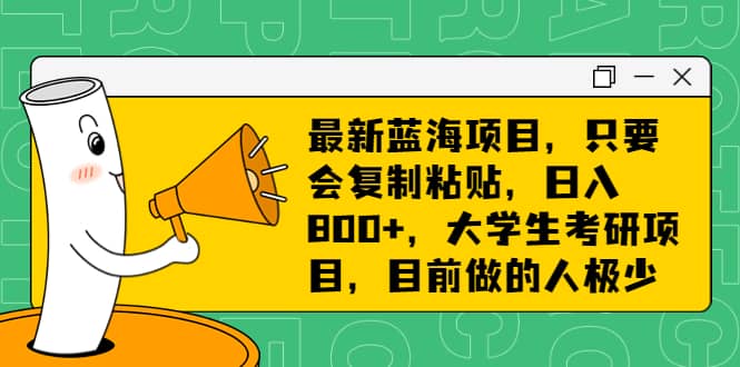 最新蓝海项目，只要会复制粘贴，日入800+，大学生考研项目，目前做的人极少风钥吧-网创项目资源站-副业项目-创业项目-搞钱项目风钥吧