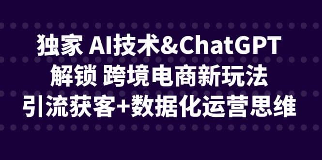 独家 AI技术ChatGPT解锁 跨境电商新玩法，引流获客+数据化运营思维风钥吧-网创项目资源站-副业项目-创业项目-搞钱项目风钥吧