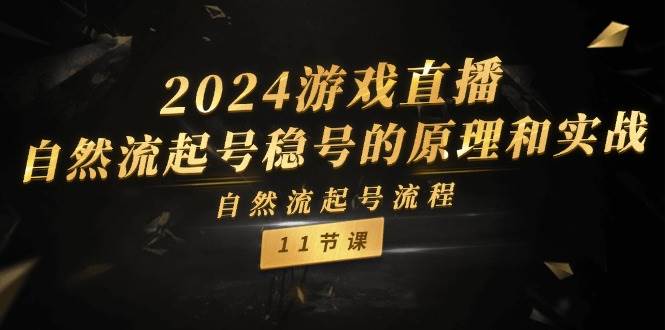 2024游戏直播-自然流起号稳号的原理和实战，自然流起号流程（11节）风钥吧-网创项目资源站-副业项目-创业项目-搞钱项目风钥吧