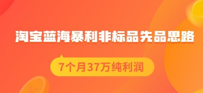盗坤淘宝蓝海暴利非标品先品思路，7个月37万纯利润，压箱干货分享！【付费文章】风钥吧-网创项目资源站-副业项目-创业项目-搞钱项目风钥吧