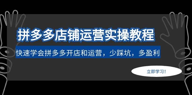 拼多多店铺运营实操教程：快速学会拼多多开店和运营，少踩坑，多盈利风钥吧-网创项目资源站-副业项目-创业项目-搞钱项目风钥吧
