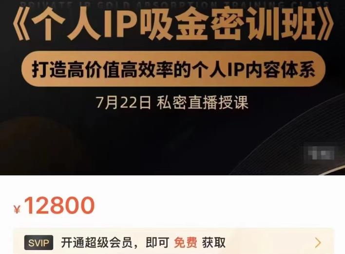 个人IP吸金密训班，打造高价值高效率的个人IP内容体系（价值12800元）风钥吧-网创项目资源站-副业项目-创业项目-搞钱项目风钥吧