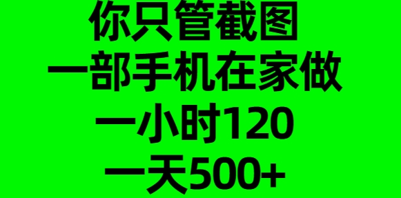 你只管截图，一部手机在家做，一小时120，一天500+风钥吧-网创项目资源站-副业项目-创业项目-搞钱项目风钥吧