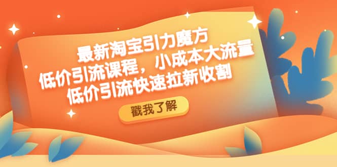 最新淘宝引力魔方低价引流实操：小成本大流量风钥吧-网创项目资源站-副业项目-创业项目-搞钱项目风钥吧