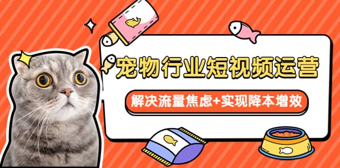 宠物/行业短视频运营 流量增长的一层窗户纸 解决流量焦虑+实现降本增效风钥吧-网创项目资源站-副业项目-创业项目-搞钱项目风钥吧
