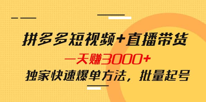 拼多多短视频+直播带货，一天赚3000+独家快速爆单方法，批量起号风钥吧-网创项目资源站-副业项目-创业项目-搞钱项目风钥吧