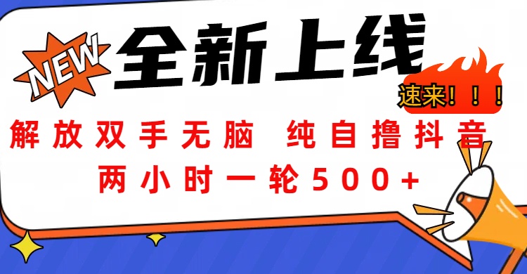 解放双手无脑 纯自撸抖音 两小时一轮500+风钥吧-网创项目资源站-副业项目-创业项目-搞钱项目风钥吧