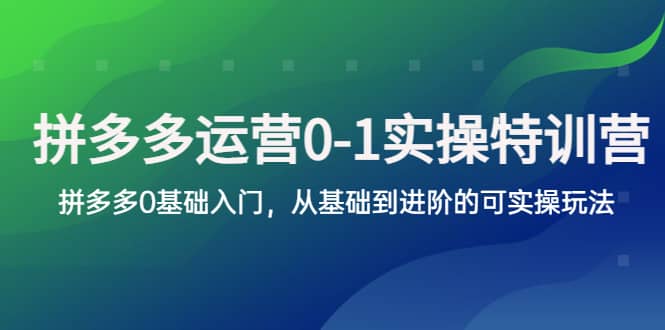 拼多多-运营0-1实操训练营，拼多多0基础入门，从基础到进阶的可实操玩法风钥吧-网创项目资源站-副业项目-创业项目-搞钱项目风钥吧