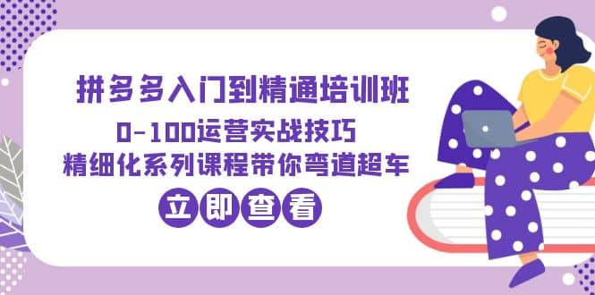 2023拼多多入门到精通培训班：0-100运营实战技巧 精细化系列课带你弯道超车风钥吧-网创项目资源站-副业项目-创业项目-搞钱项目风钥吧