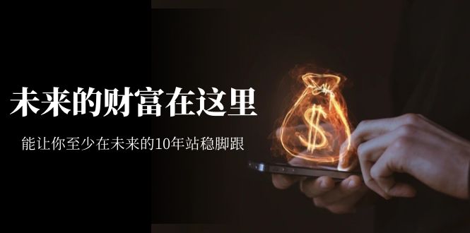 某收费文章《未来的财富在这里》能让你至少在未来的10年站稳脚跟风钥吧-网创项目资源站-副业项目-创业项目-搞钱项目风钥吧