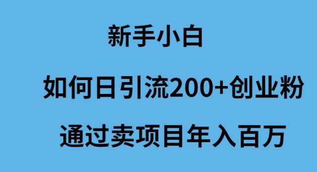 新手小白如何日引流200+创业粉通过卖项目年入百万风钥吧-网创项目资源站-副业项目-创业项目-搞钱项目风钥吧