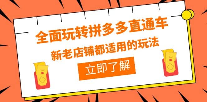 全面玩转拼多多直通车，新老店铺都适用的玩法（12节精华课）风钥吧-网创项目资源站-副业项目-创业项目-搞钱项目风钥吧