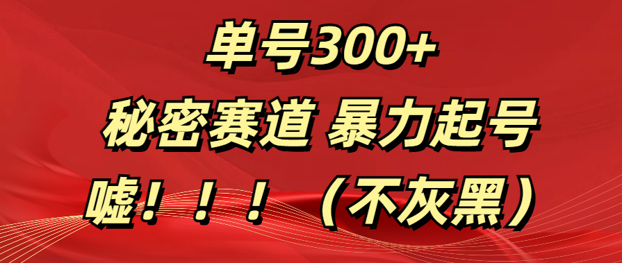 单号300+  秘密赛道 暴力起号  （不灰黑）风钥吧-网创项目资源站-副业项目-创业项目-搞钱项目风钥吧